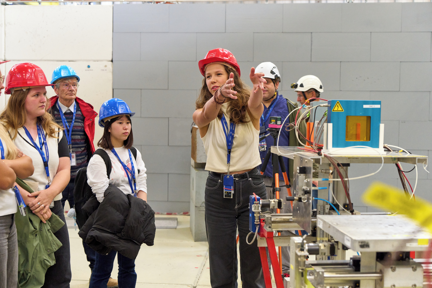 Beamline for Schools participant
