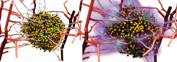 BioDynaMo: cutting-edge software helps battle