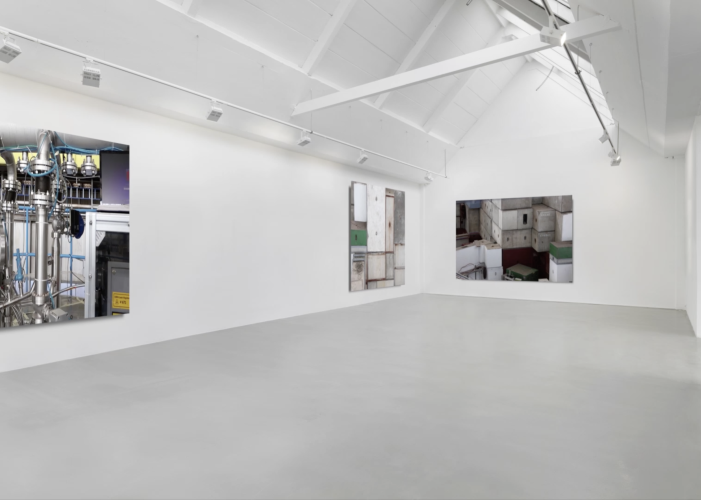 Virtual Exhibition by Mariele Neudecker
